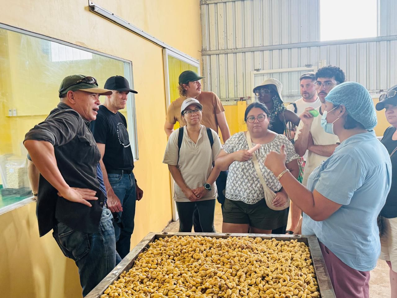 Cashew Farm